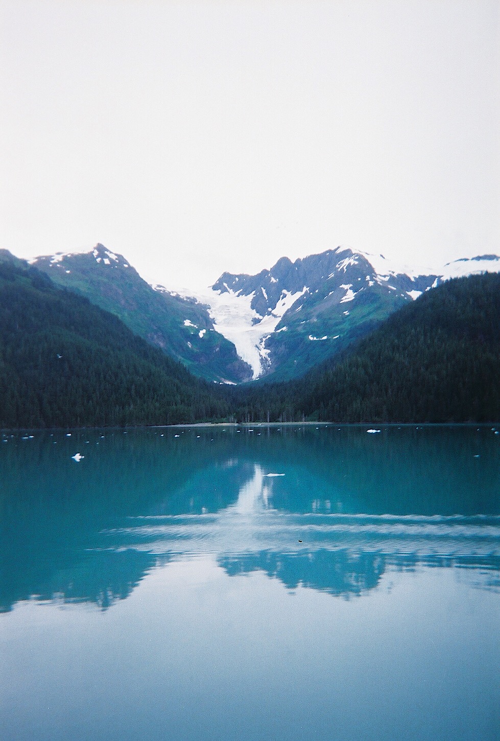 Prince William Sound nahe des Columbia Gletschers