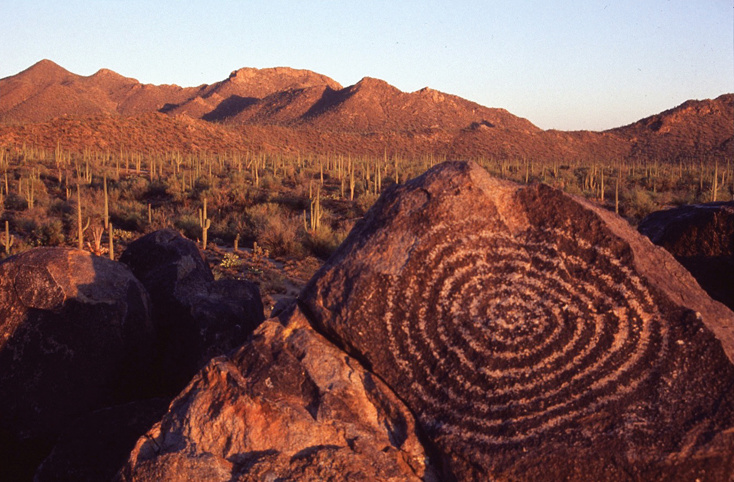 Petroglyphen im Sonora-Desert