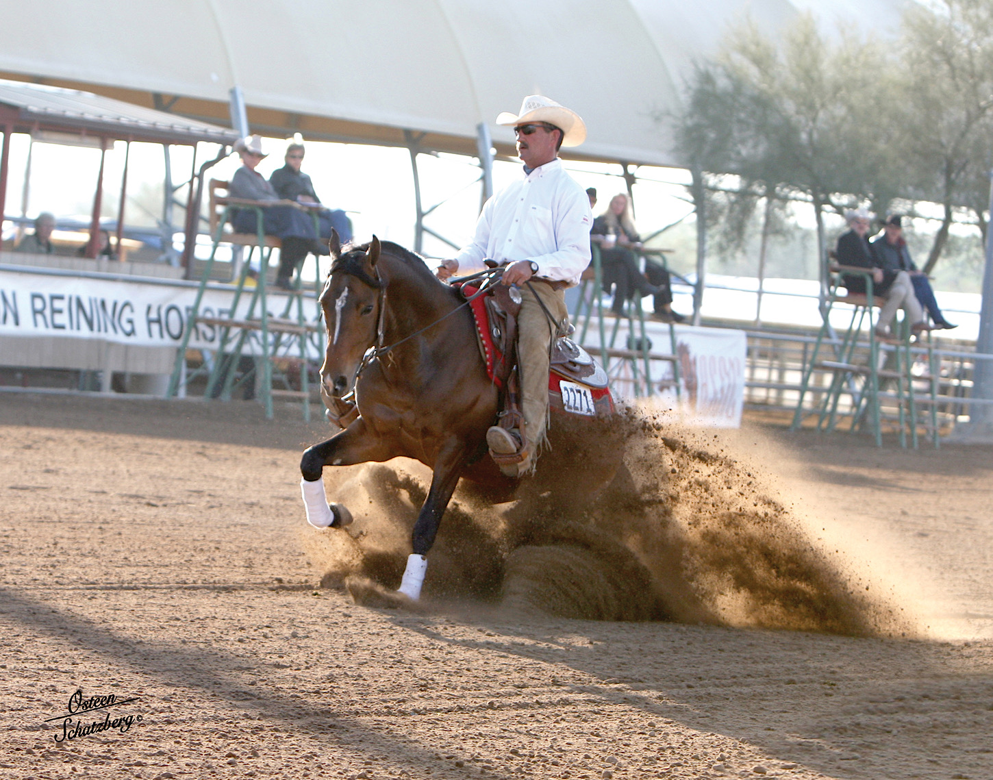 Arab Reining Competition