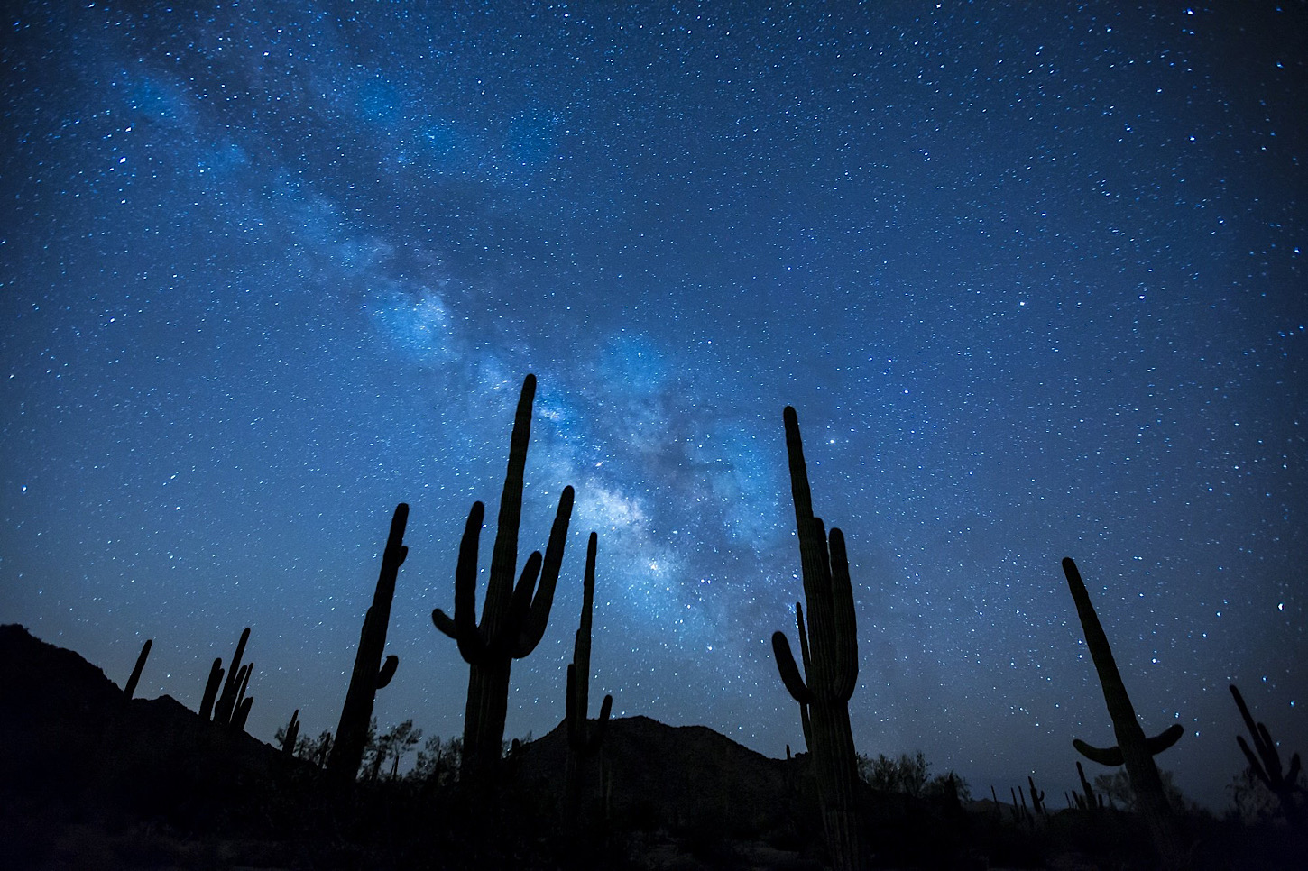 Saguaro-Kakteen im Nachthimmel