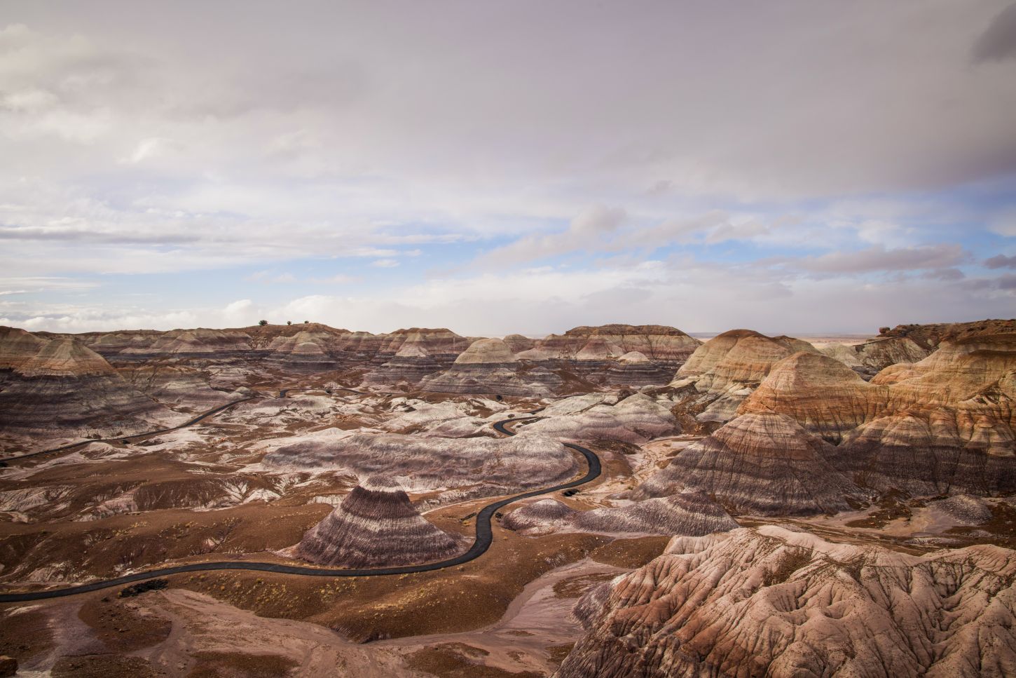 Petrified Forest N.P. - Blue Mesa Trail Overlook