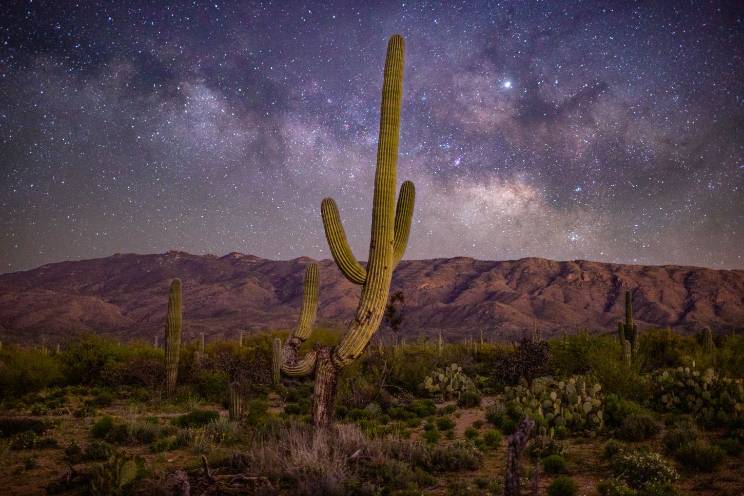 Beeindruckender Sternenhimmel: Saguaro National Park
