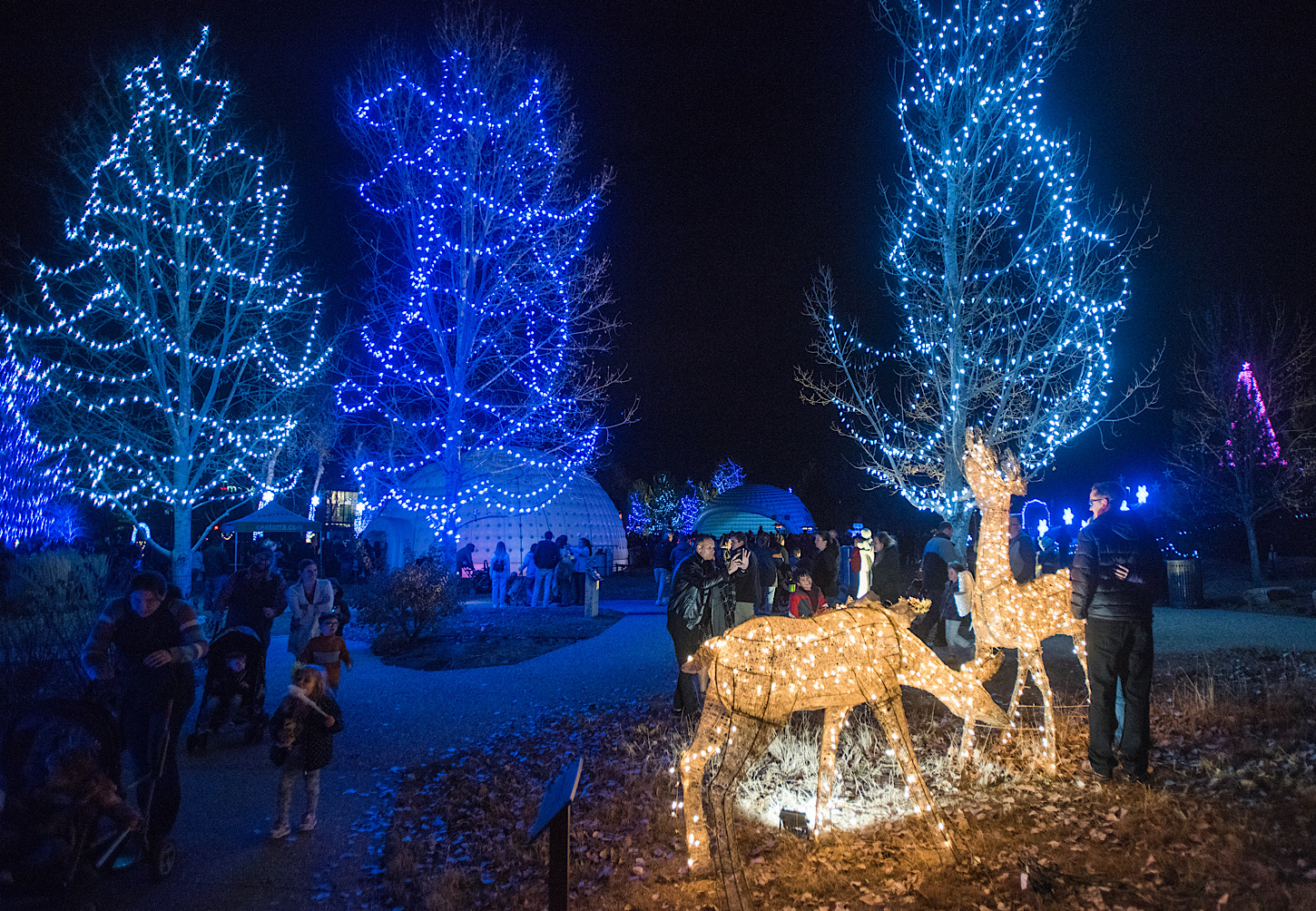 Loveland: Winter Wonder Lights