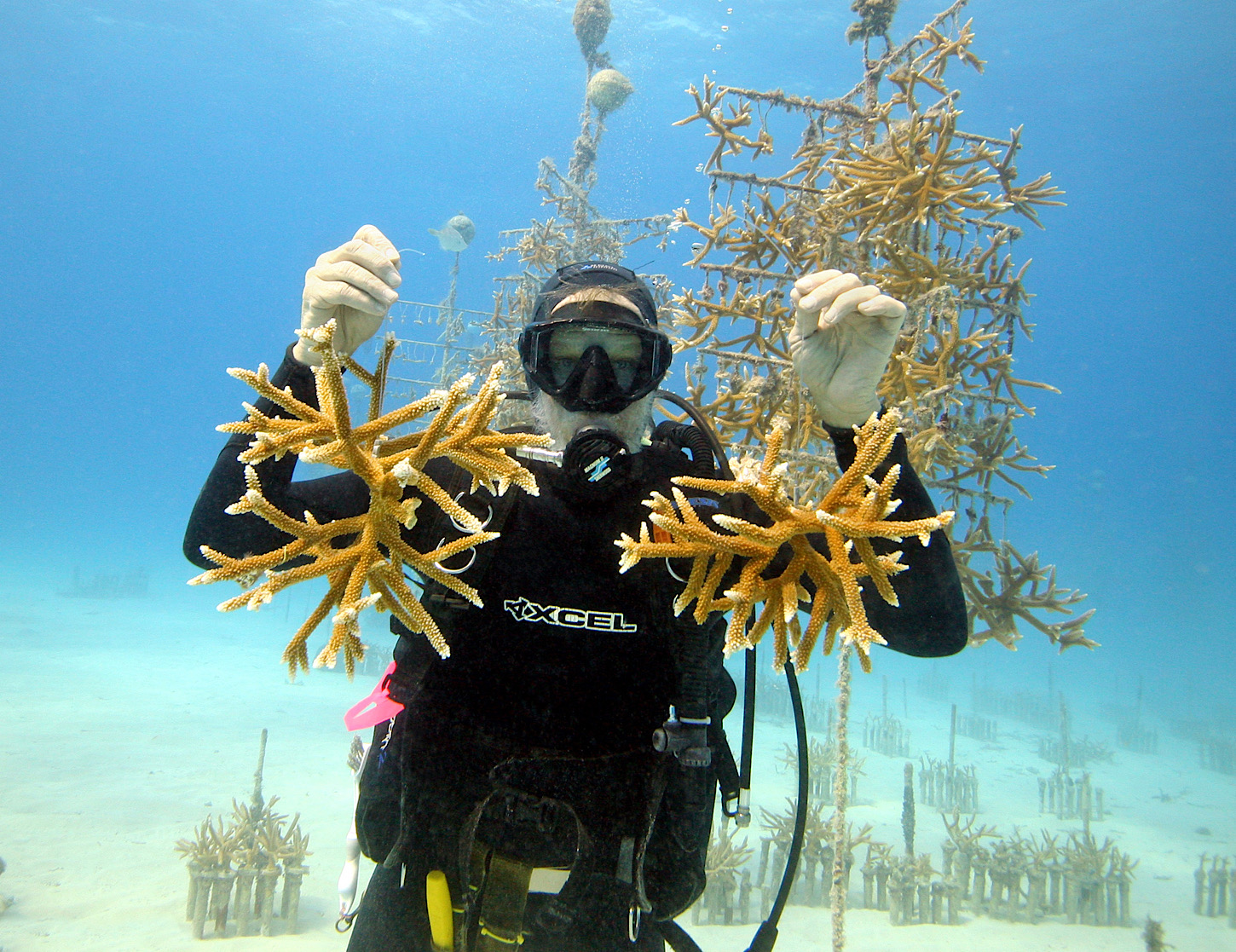 Korallenaufzuchtstation