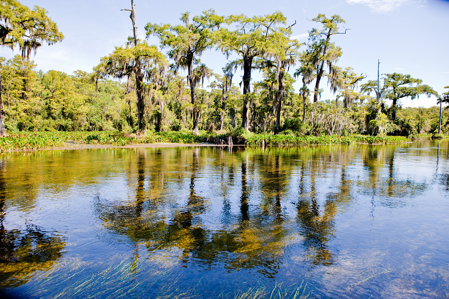 Wakulla Springs
