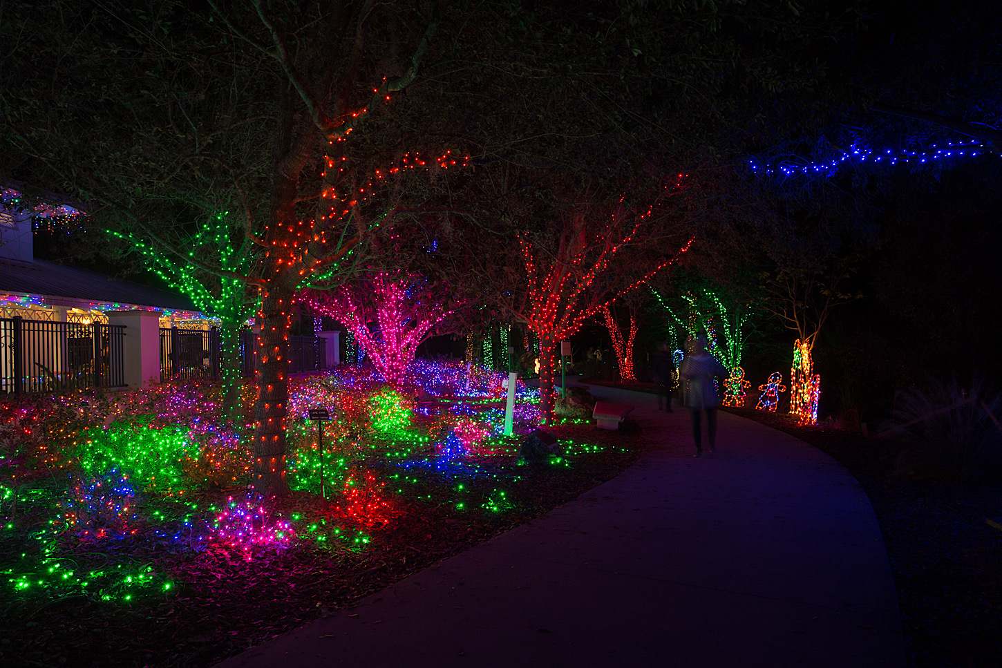Holiday Lights in the Botanical Garden