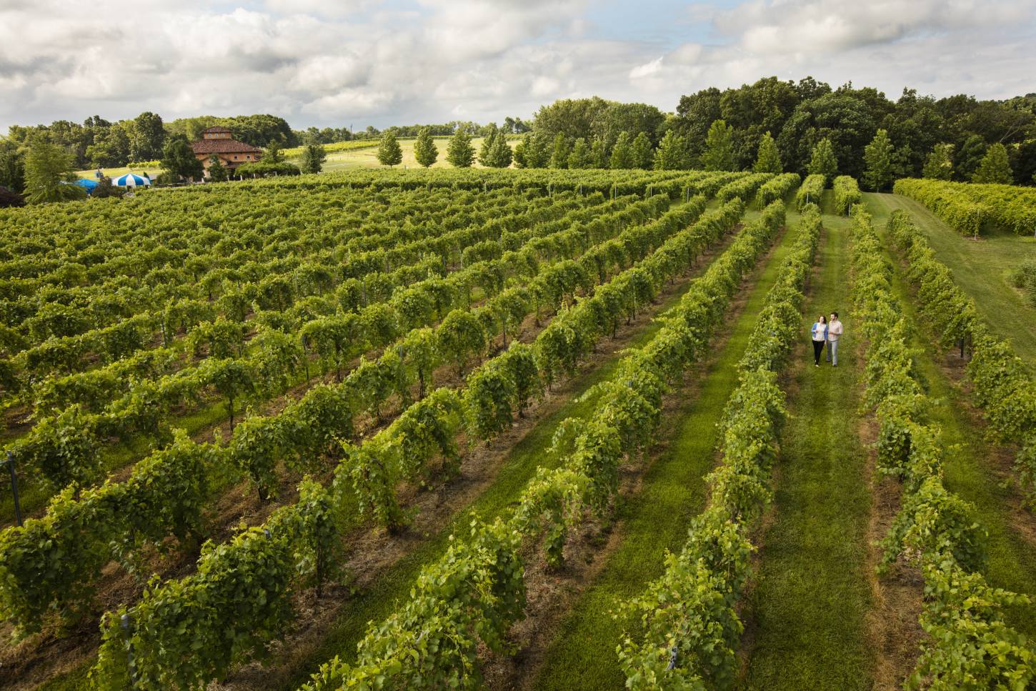 Shawnee Hills Wine Trail