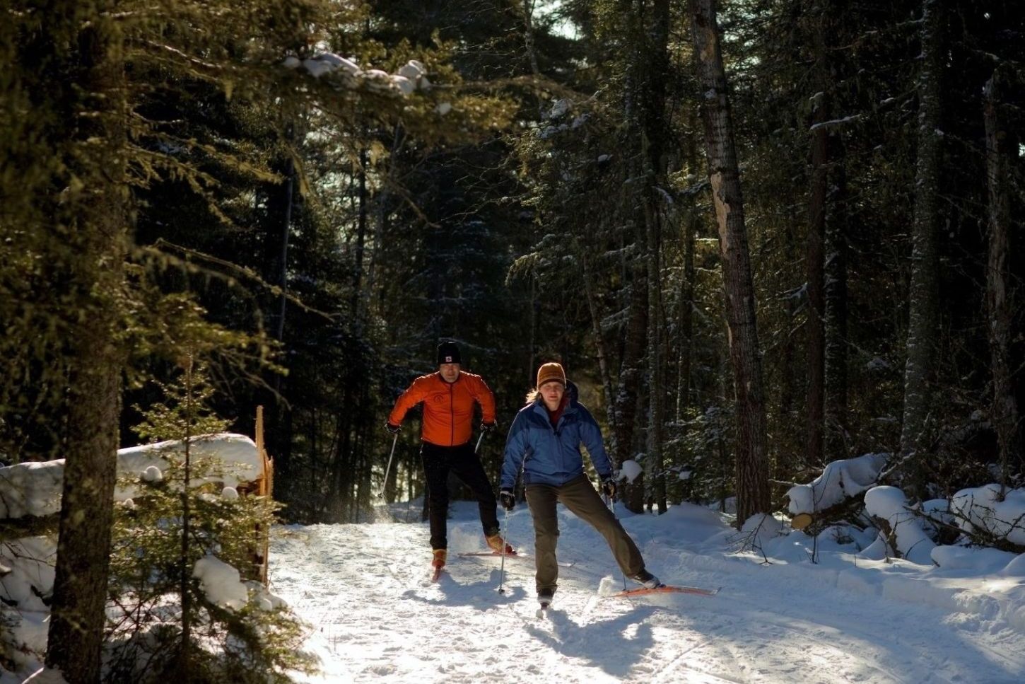 Skilanglauf im Prince Albert National Park