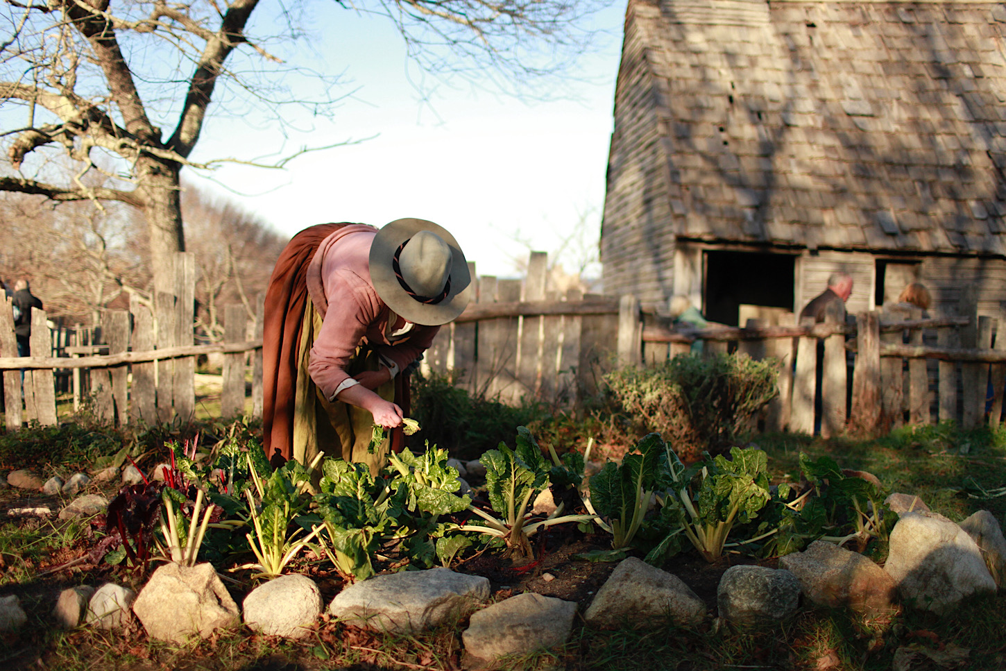 Plimoth Plantation: Gartenarbeit
