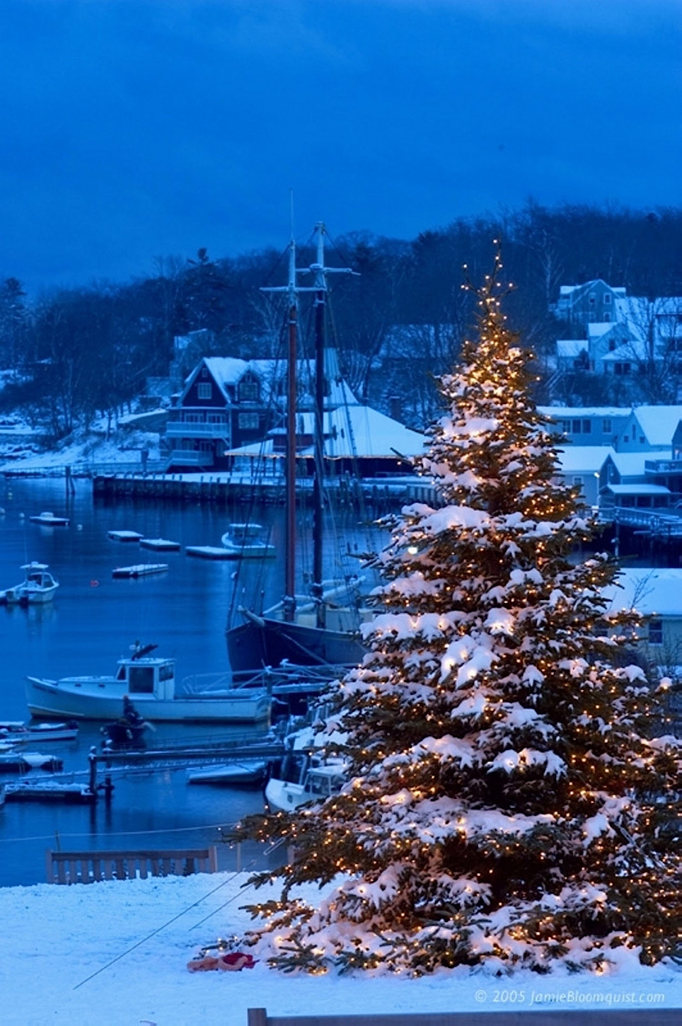 Weihnachtsbaum in Maine