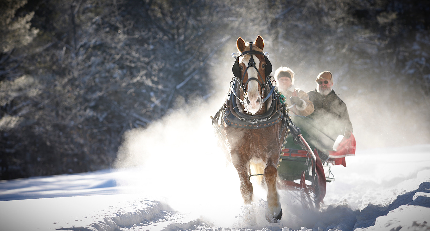 Schlittenfahrt in Maine