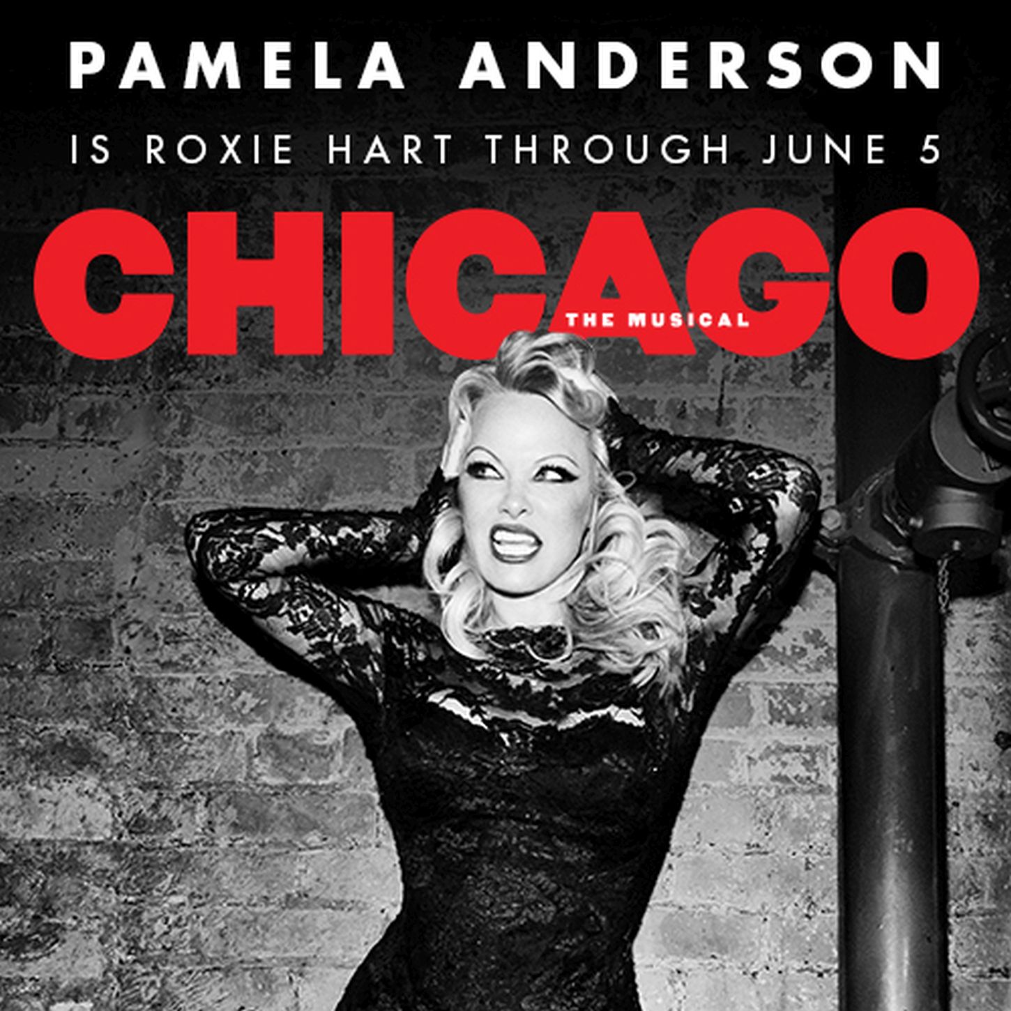 Aktuell mit Pamela Anderson besetzt: Chicago