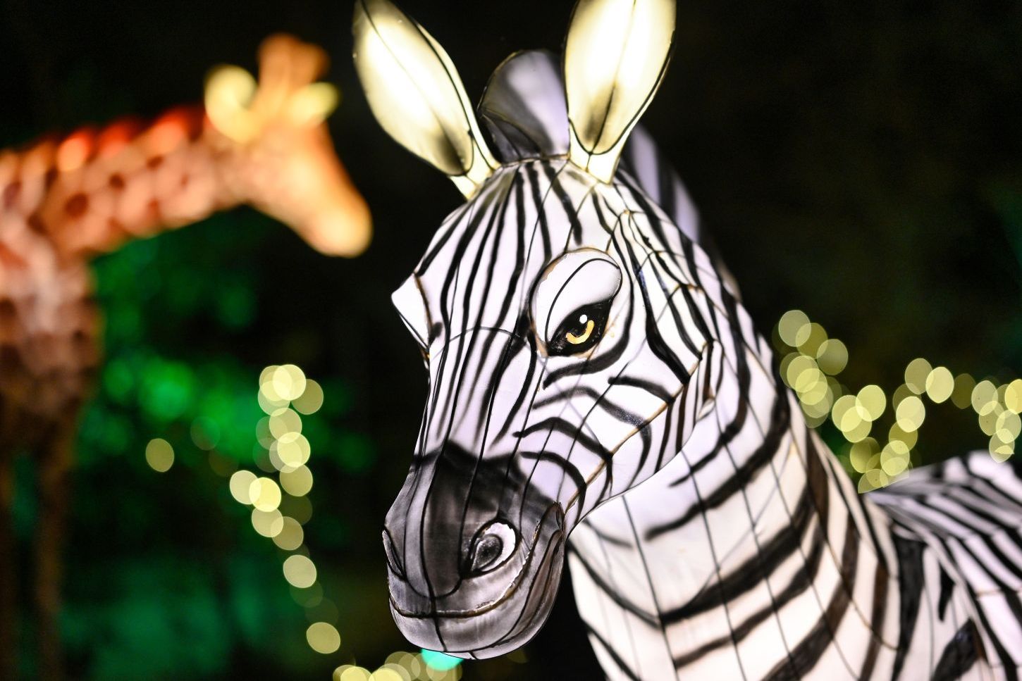 Bronx Zoo: Holiday Lights