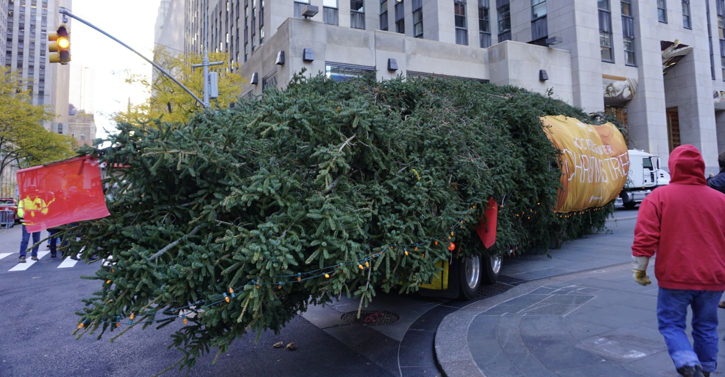 So schaut es aus, wenn der Weihnachtsbaum durch New Yorks Straßen rollt (Foto von 2017)
