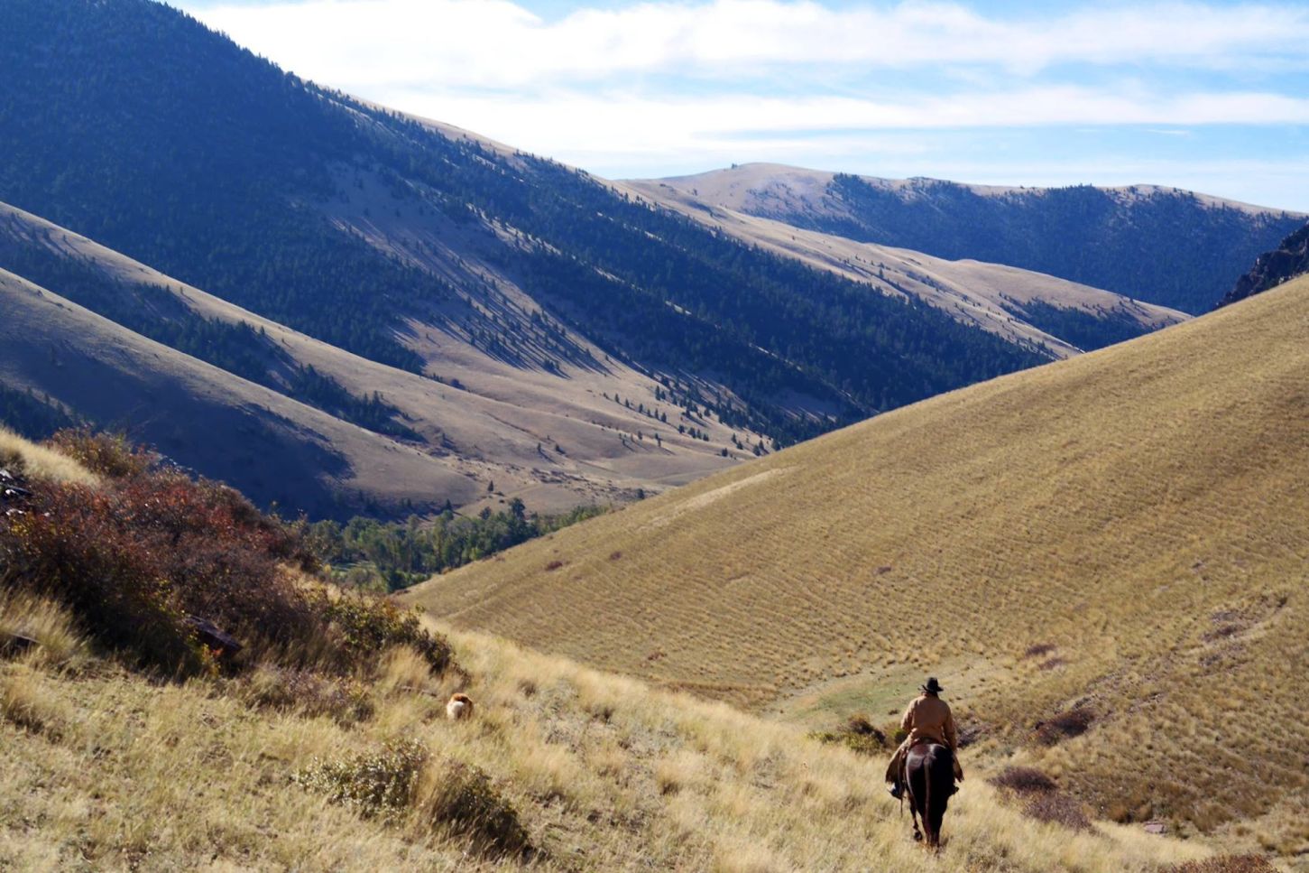 Die unendlichen Weiten Montanas hautnah erleben - Rocking Z Ranch