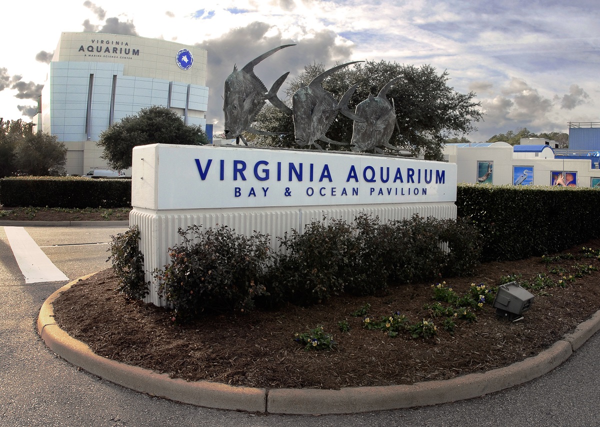 Virginia Aquarium & Marine Science Center