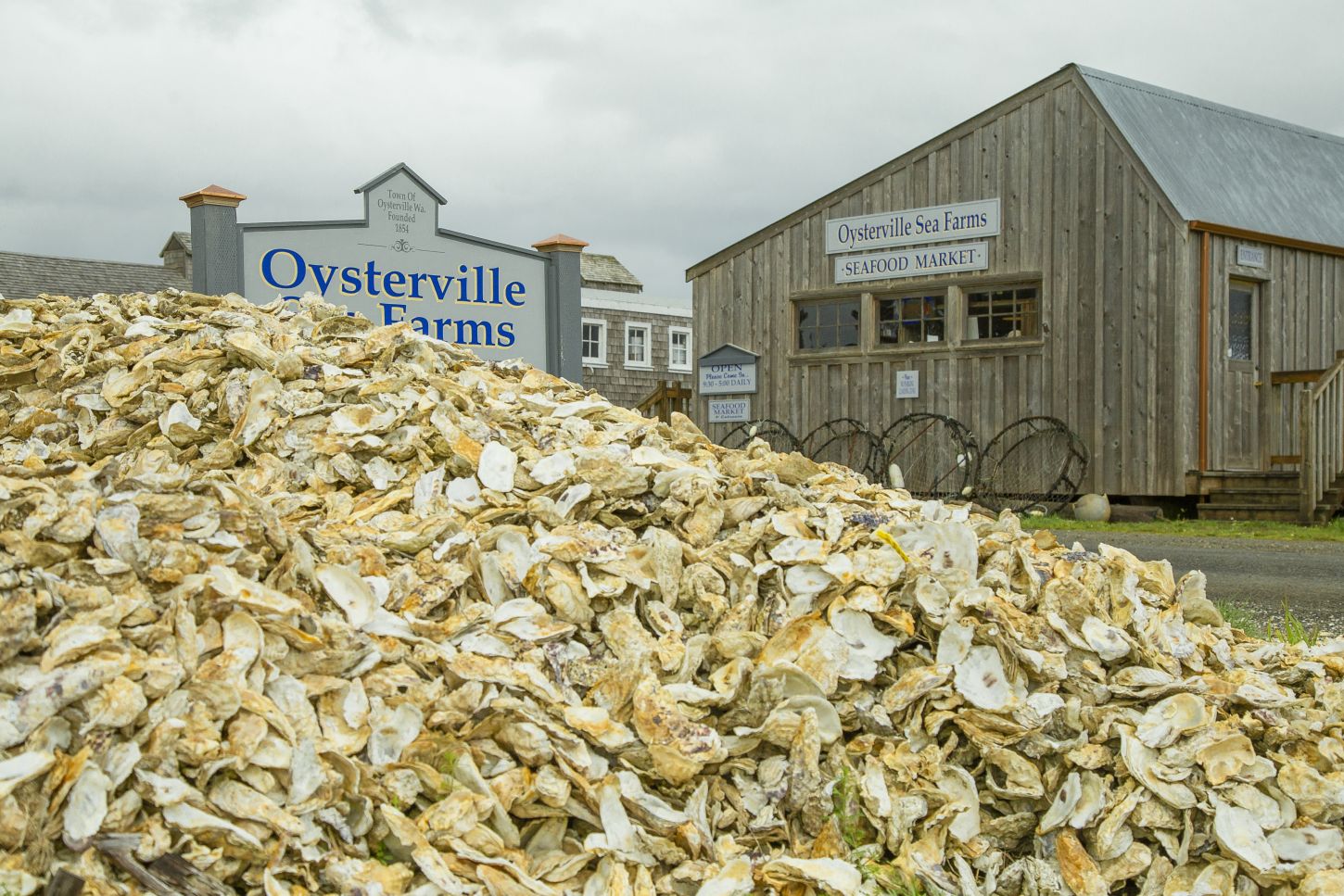 Oysterville - Seafood Market mit Muschelberg