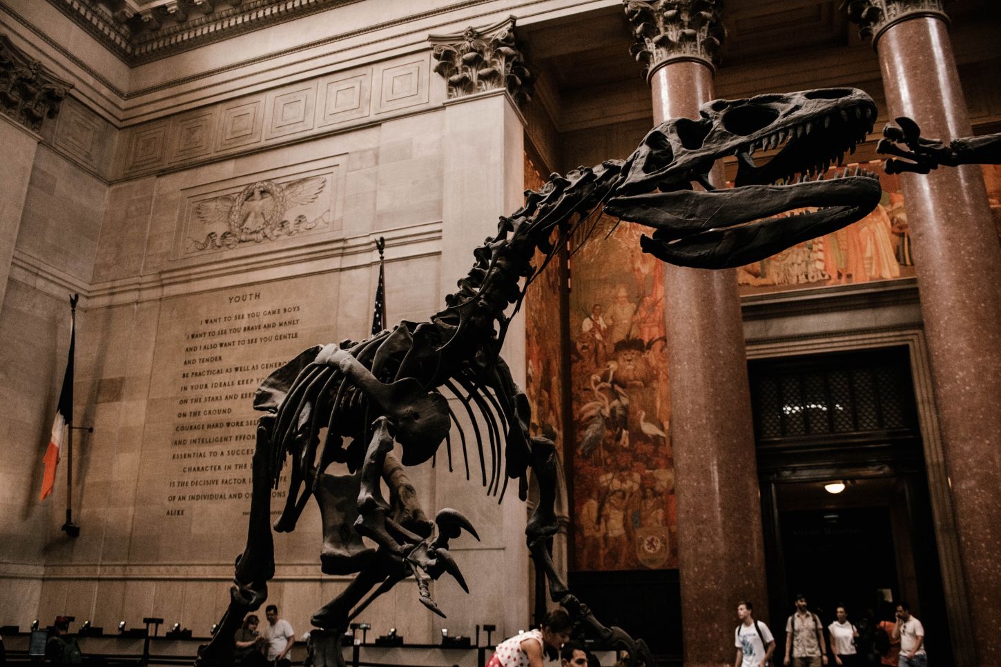 American Museum of Natural History, New York