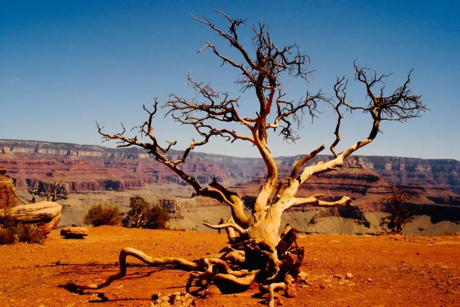 Arizonas Nationalparks für jede Jahreszeit – Naturspektakel und Outdoor-Erlebnisse in jeder Saison