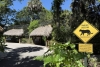 Der Naples Zoo: Ein tierisches Abenteuer in Floridas Paradies