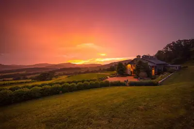 Traumhafter Sonnenuntergang in den Weinbergen über den Blue Ridge Mountains