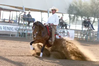 Dressurvorführung im Rahmen der Scottsdale Arabian Horse Show