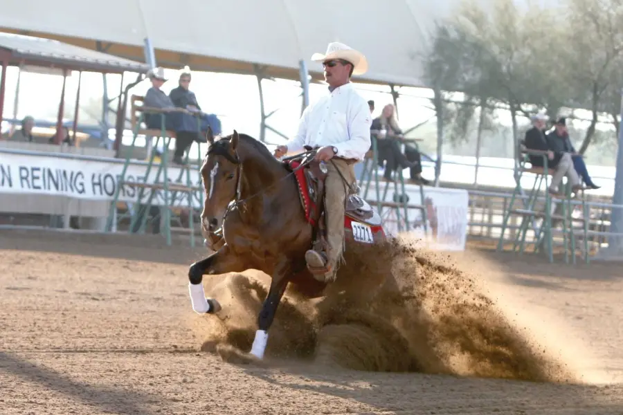 Wilder Westen in Arizona: In Scottsdale sind die Pferde los