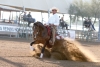 Dressurvorführung im Rahmen der Scottsdale Arabian Horse Show