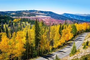Cedar Breaks Scenic Byway 1