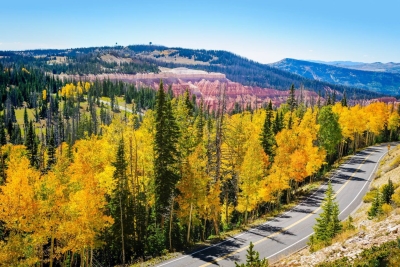 Cedar Breaks Scenic Byway 1
