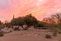 Rückzug mit Weitblick und digital Detox:  Arizonas stille Seite
