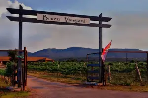 Willkommen in den Bruzzi Vineyards