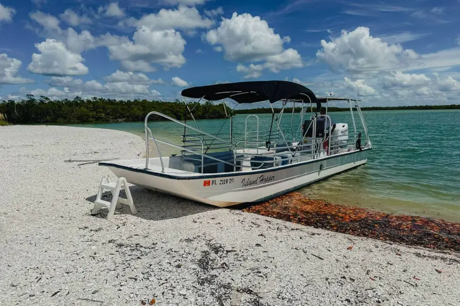 Die verborgenen Schätze der Ten Thousand Islands: Auf Muschelsuche mit Sand Dollar Shelling