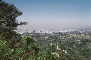 Blich auf Los Angeles vom Griffith Park