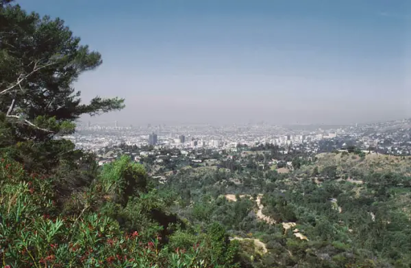 Blich auf Los Angeles vom Griffith Park