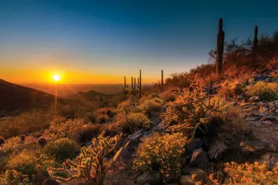 Traumhafter Sonnenuntergang: Scottsdales McDowell Sonoran Preserve