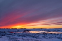 Die schönsten Reiseziele für Naturliebhaber in Nordamerika