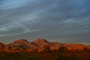 Sonnenuntergang in der Sonora-Wüste