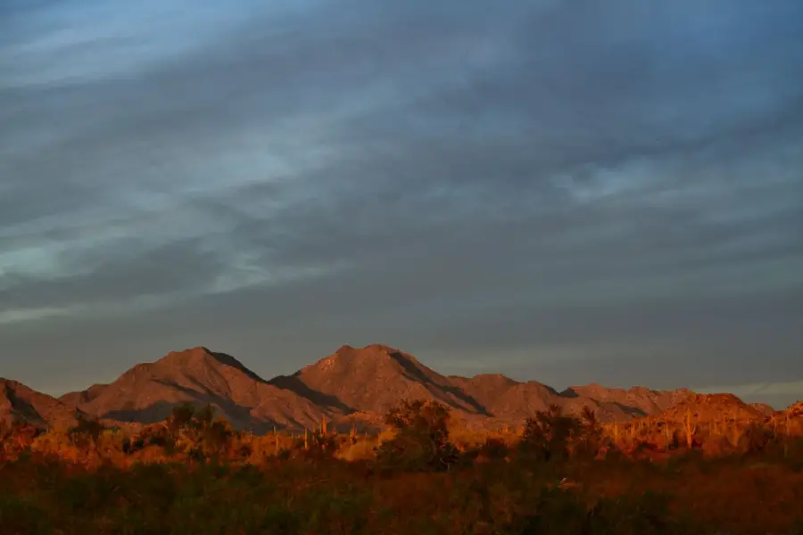 Sonnenuntergang in der Sonora-Wüste